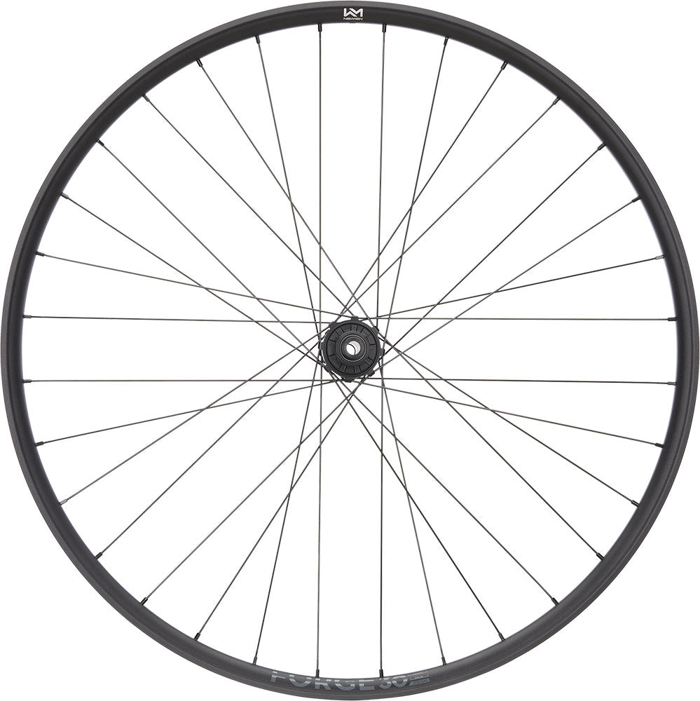 Newmen forge 30 dh 29 6-bolt 12x157 fade rear wheel
