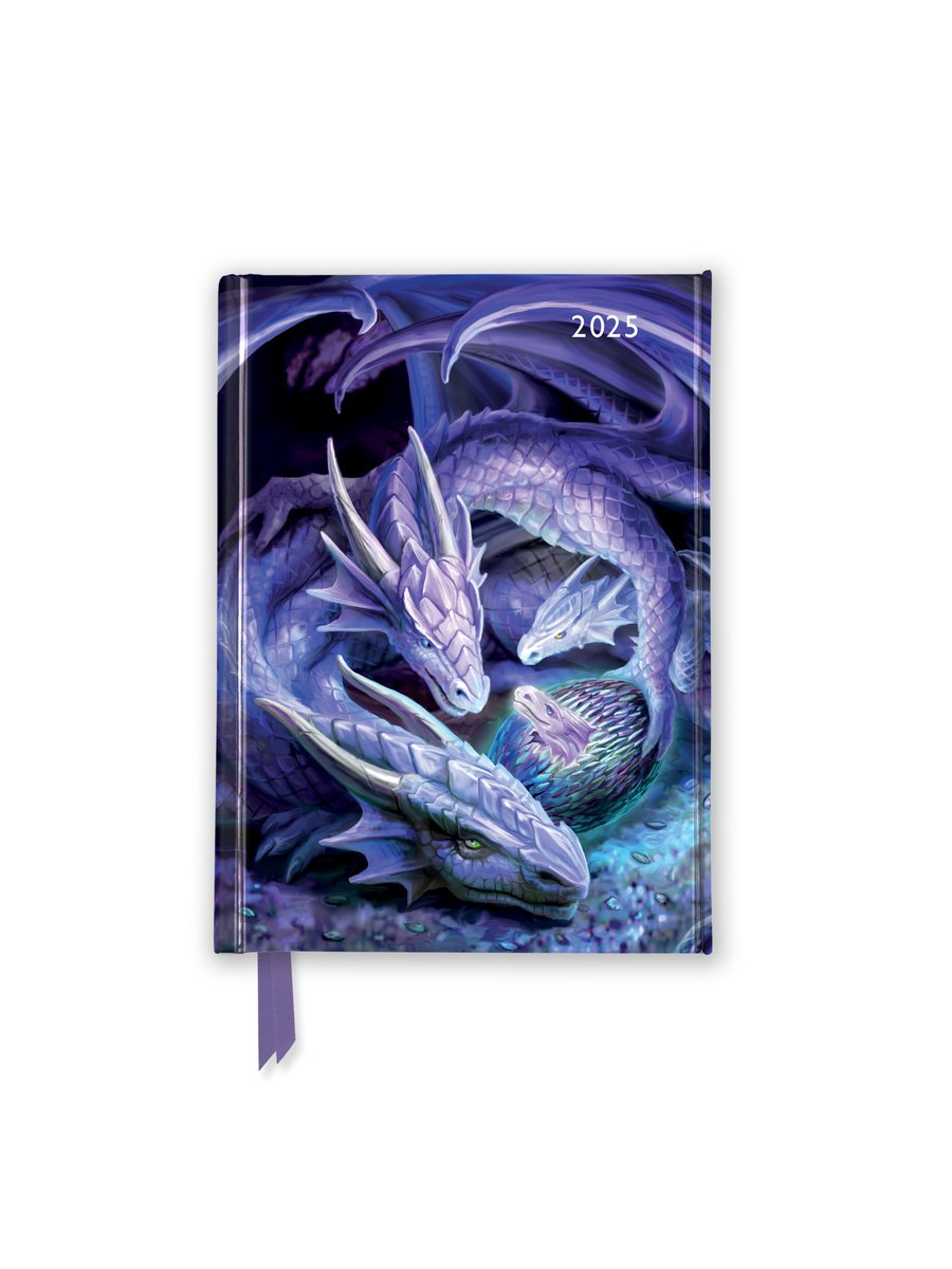 Anne stokes: welcome hatchling 2025 luxury pocket diary planner - week to view