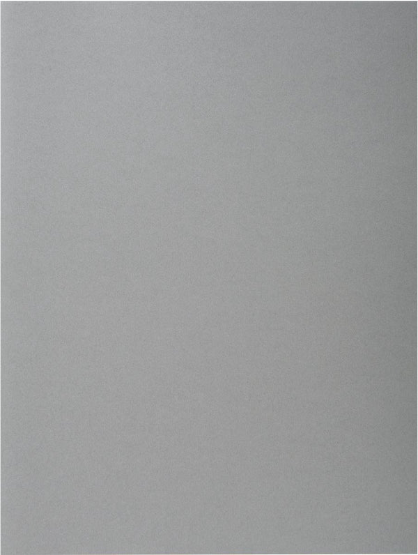 Exacompta rock''s 80 - pak van 100 inlegmappen 22x31cm voor a4 - grijs - 800009e