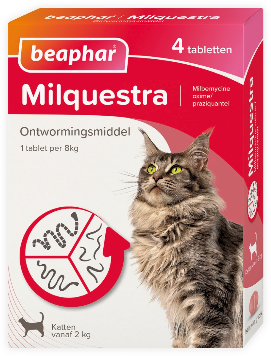 Beaphar milquestra wormtabletten kat - 4 tabletten - ontworming kat vanaf 2kg
