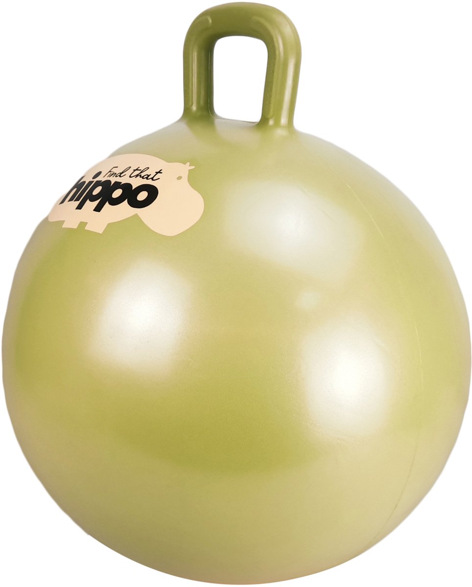 Find that hippo springbal - goud - ø45 cm - inclusief pomp - motoriek en balans - 2+