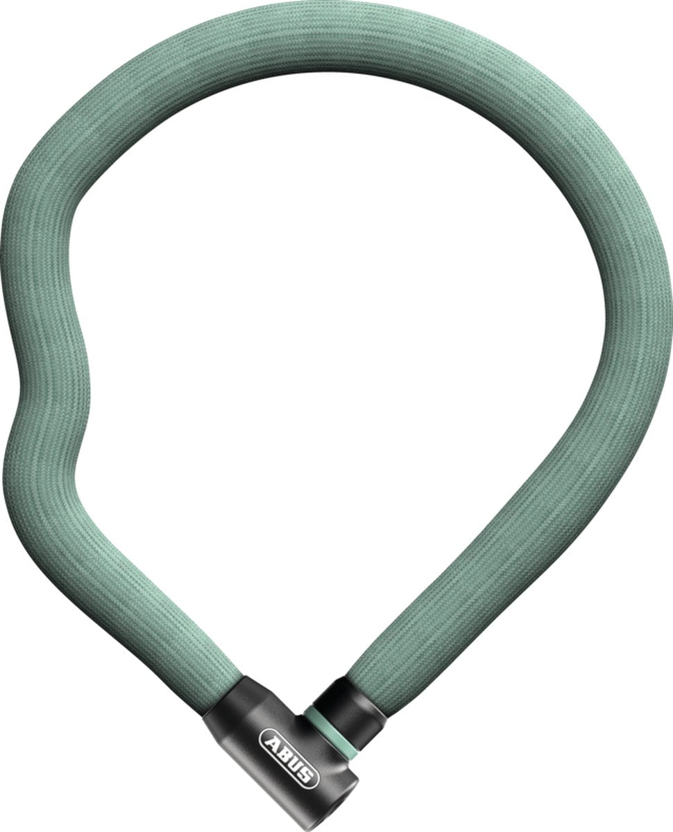 Abus ganzenslot 4204k 110 munt