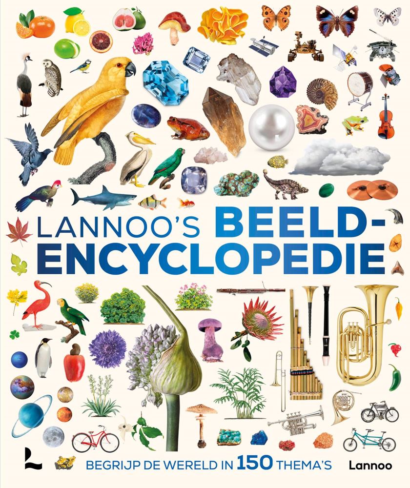 Informatief: lannoo's beeldencyclopedie