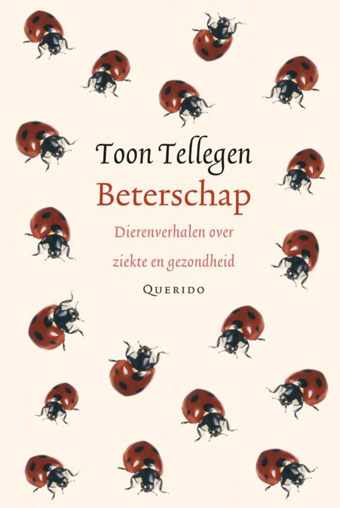 Toon tellegen: beterschap. cadeauboekje.
