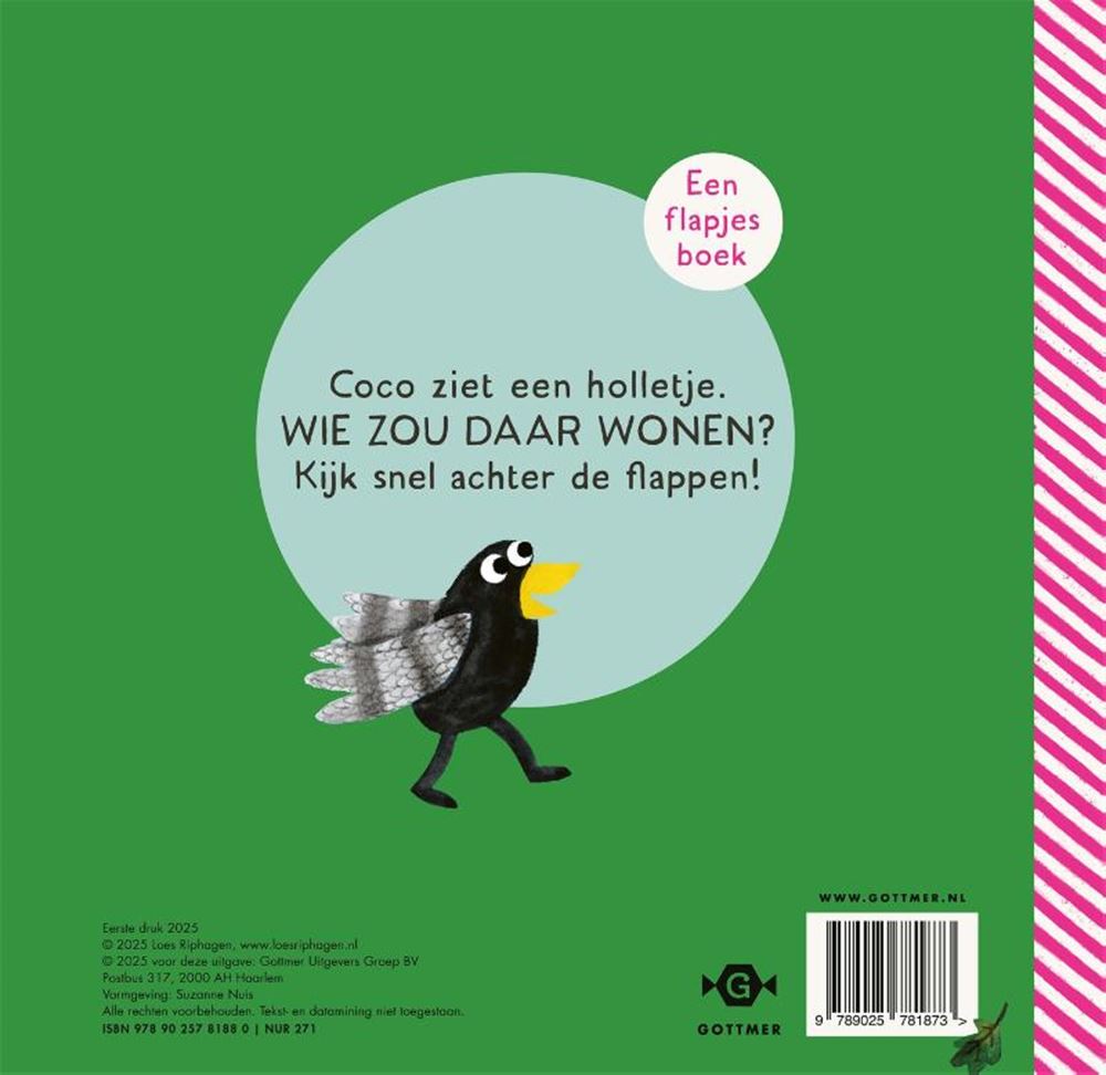 Gottmer uitgevers groep kartonboek: coco in het bos 1+