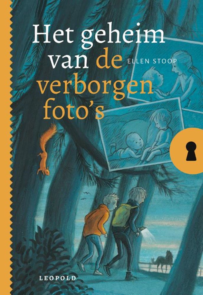 Het geheim van de verborgen foto's 8+
