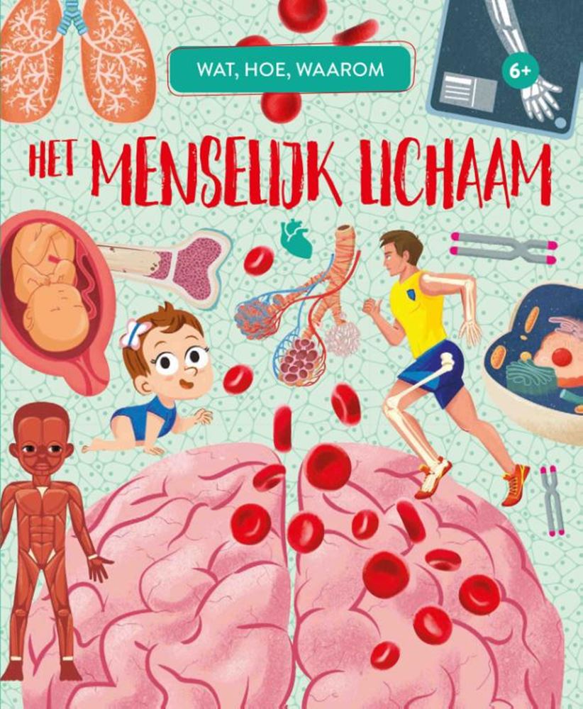 Rebo uitgeverij het menselijk lichaam - wat, hoe, waarom