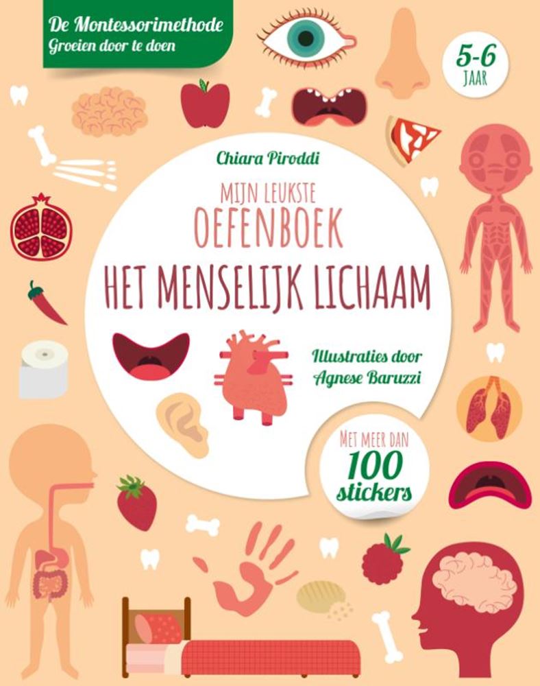 Rebo uitgeverij menselijk lichaam-leukste oefenboek