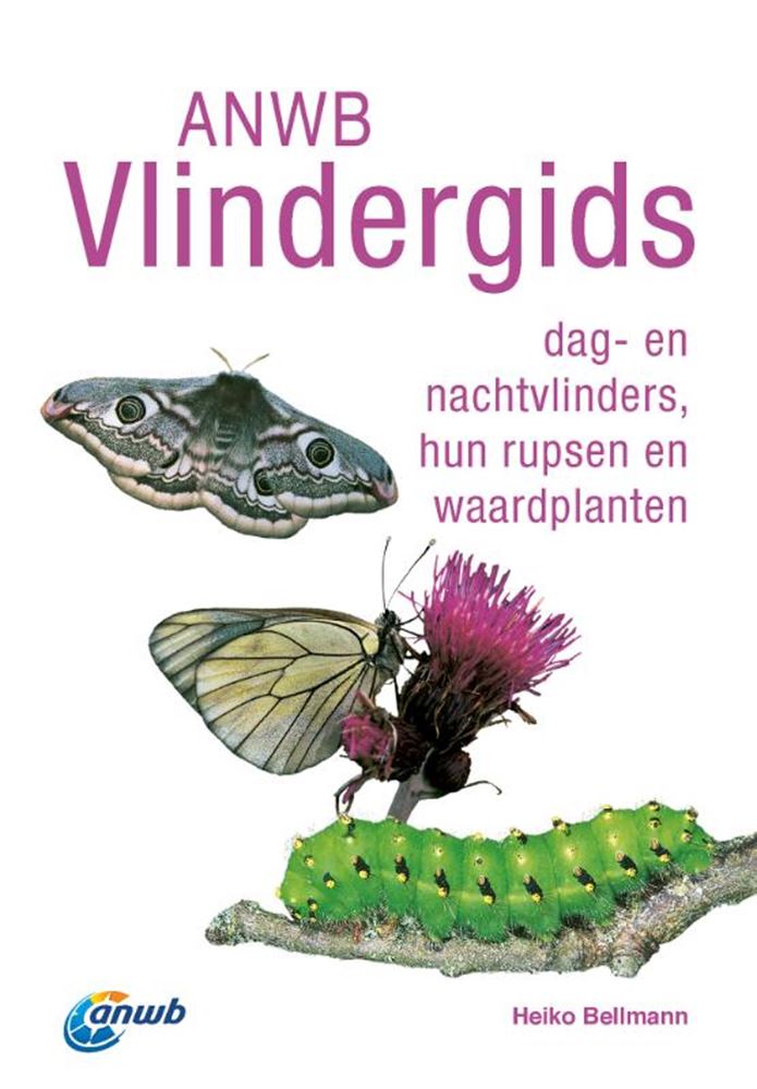 Anwb vlindergids volwassene