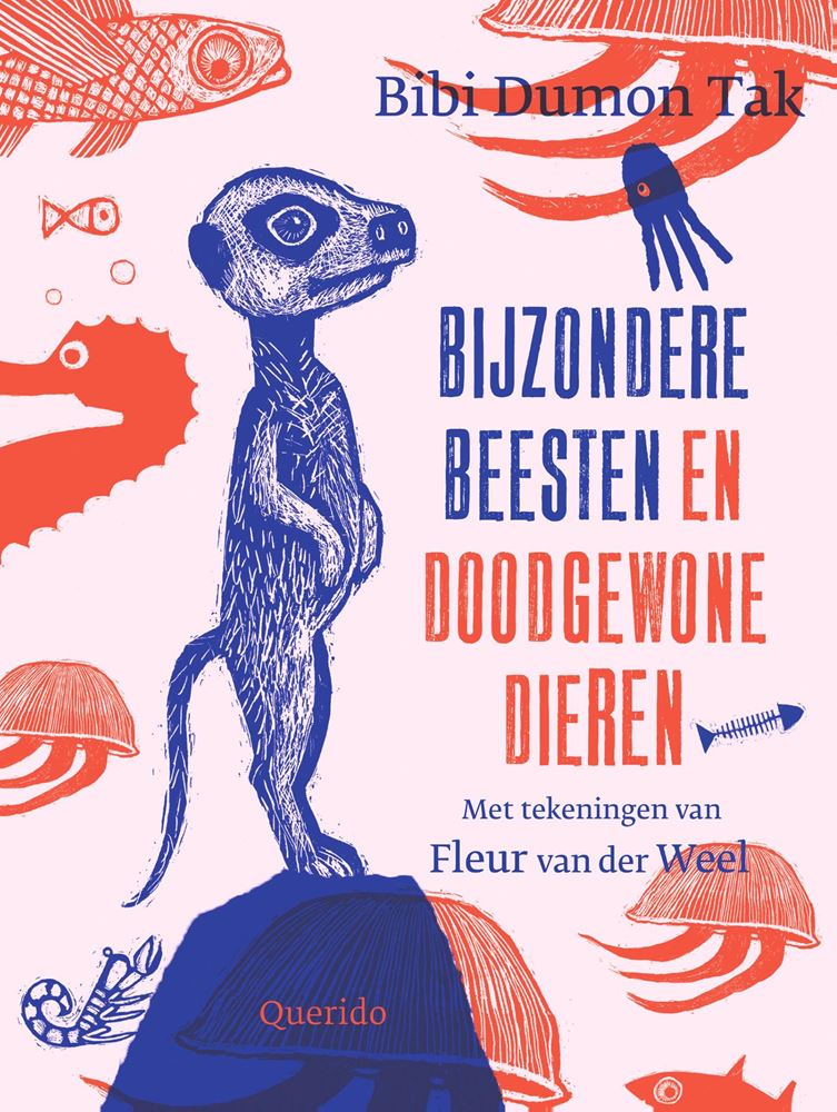 Bijzondere beesten en doodgewone dieren.