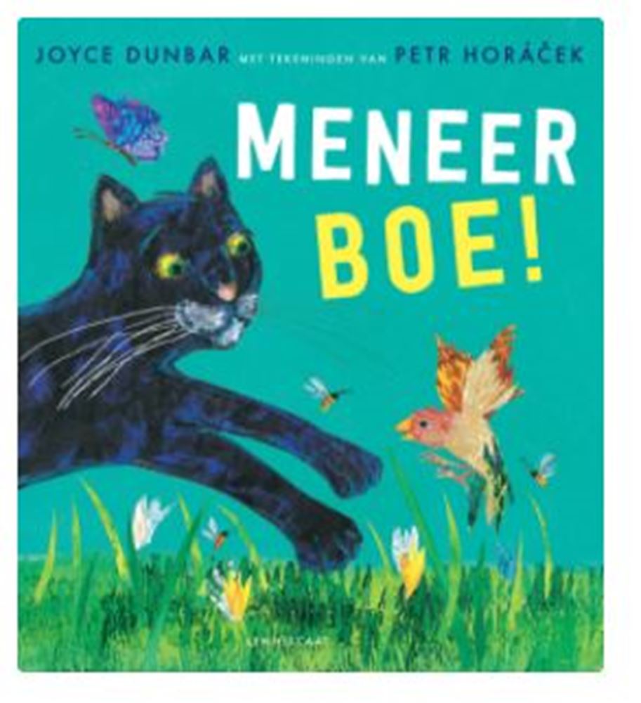 Meneer boe. 4+