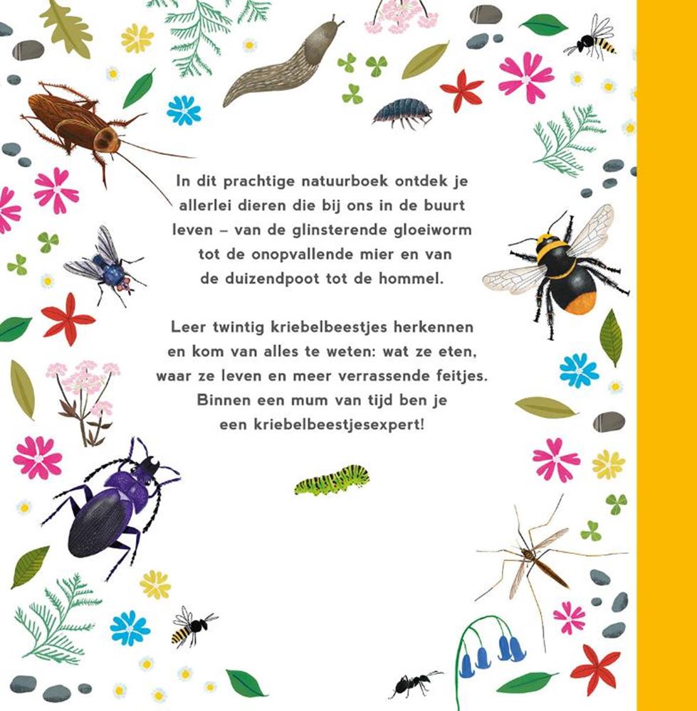 Mijn eerste kriebelbeestjesboek. 4+