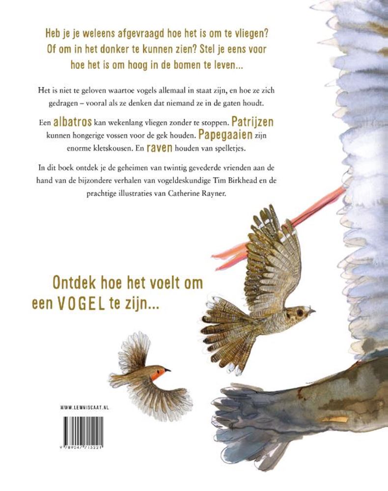 Zo voelt het om een vogel te zijn 9+