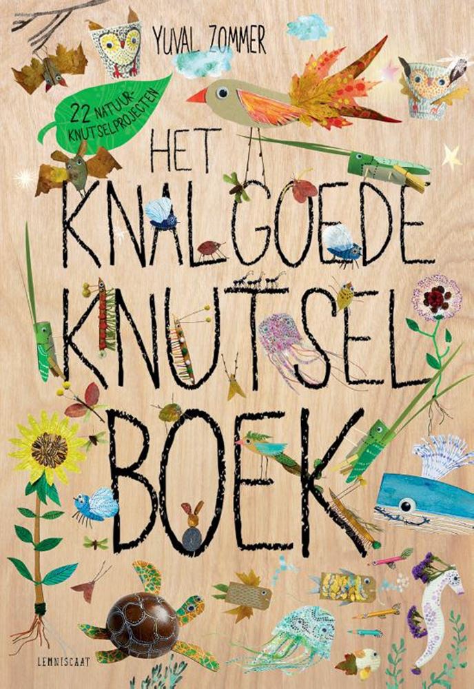 Het knalgoede knutselboek 8+