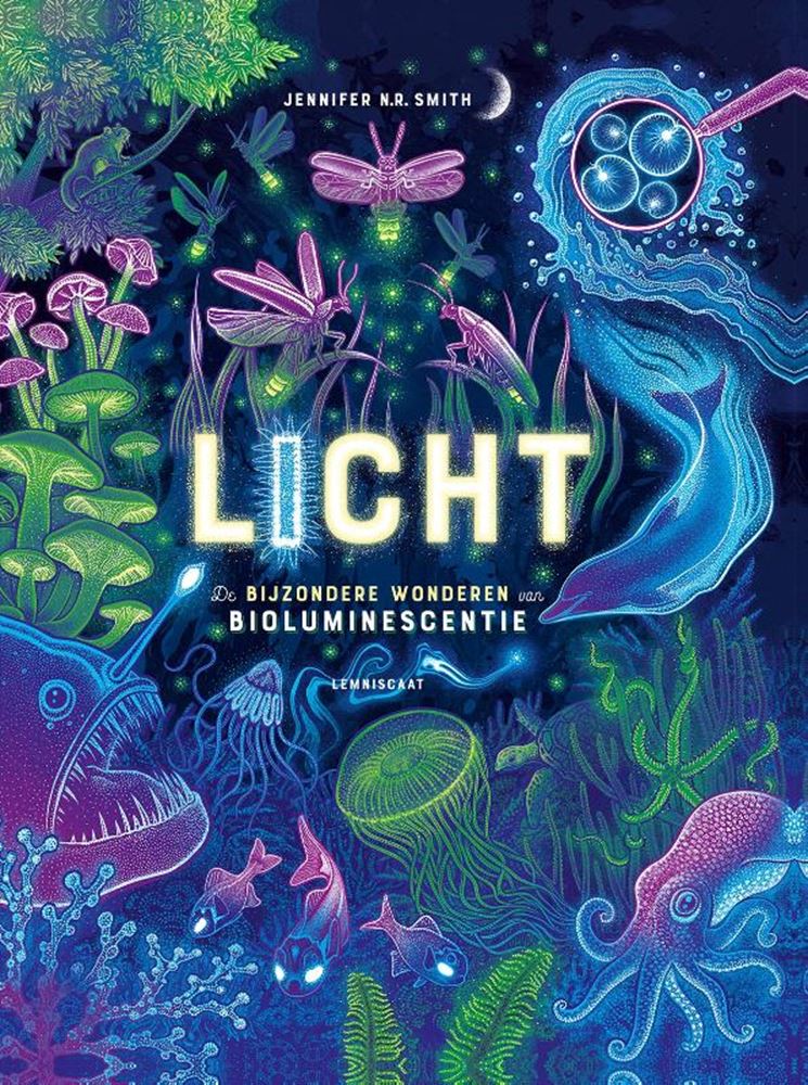 Licht 10+