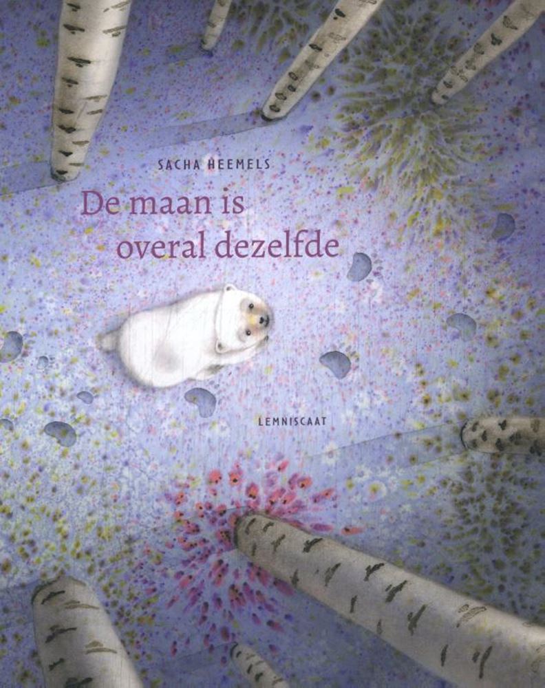 De maan is overal dezelfde 4+