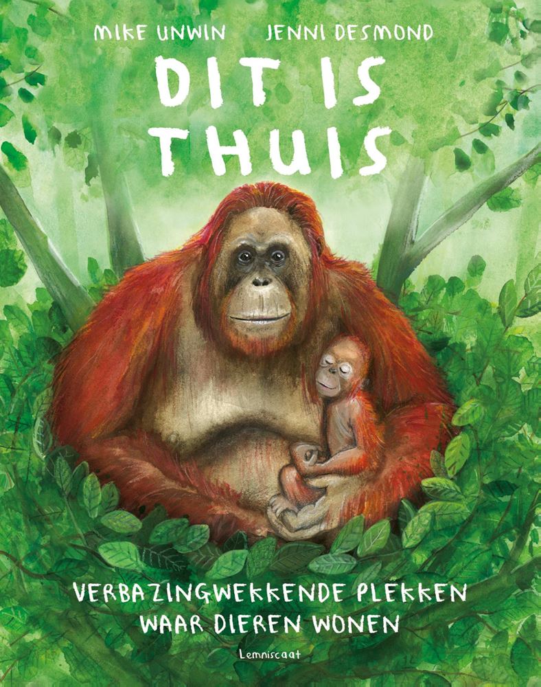 Prentenboek: dit is thuis. 9+