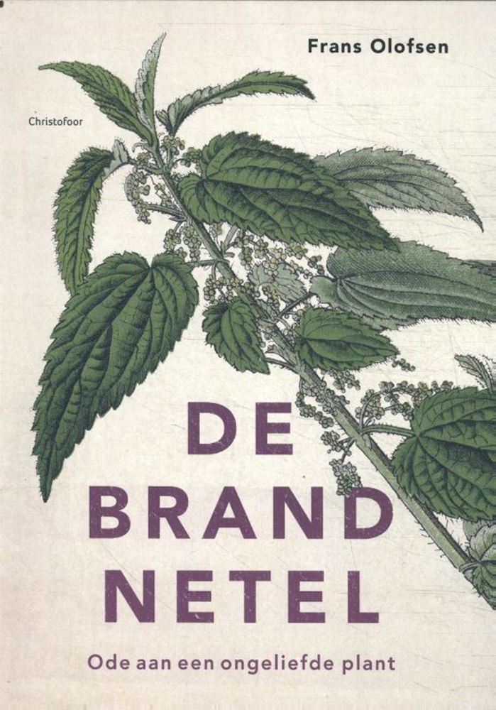 De brandnetel. ode aan een ongeliefde pl