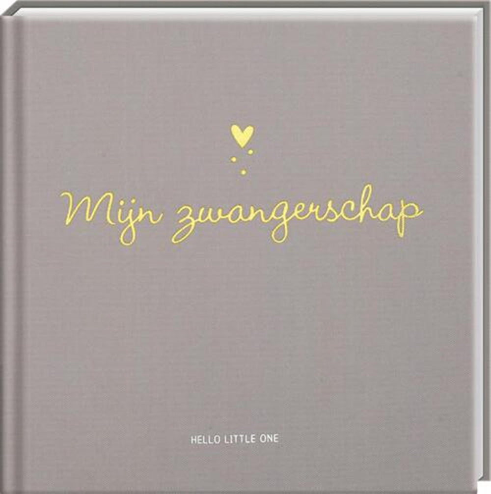 Imagebooks hello little one, invulboek - mijn zwangerschap