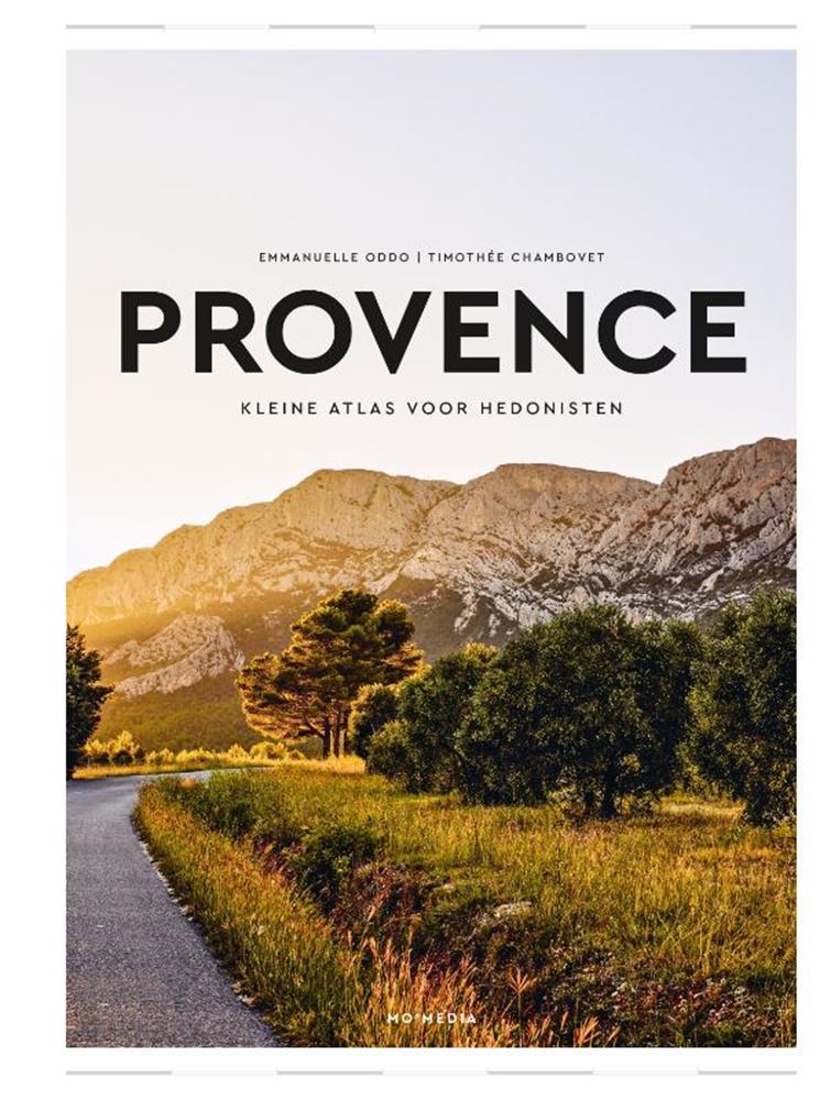 Stedengids: provence. volwassene