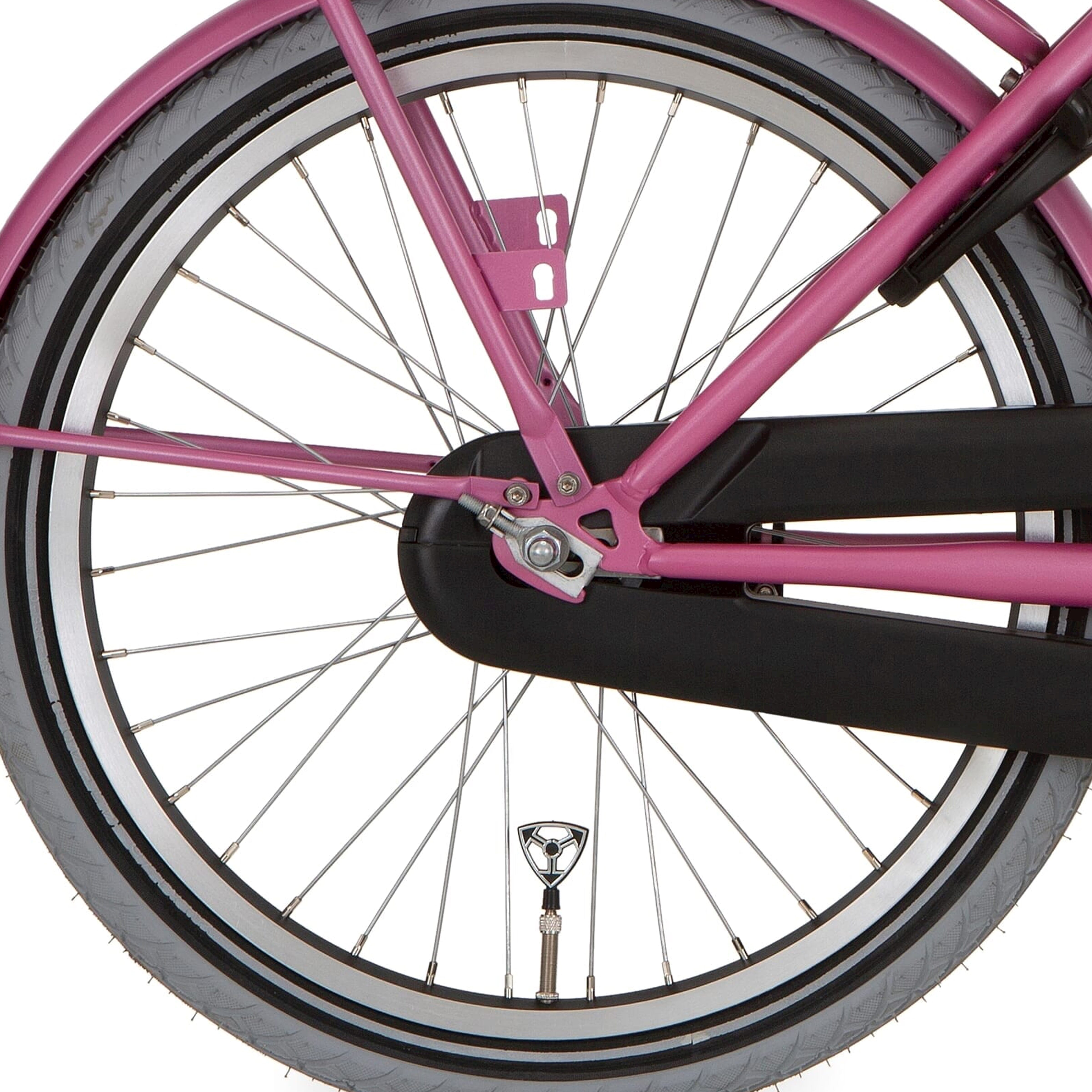 Alpina achterwiel 22 hlq-10a-1 zwart zink spk