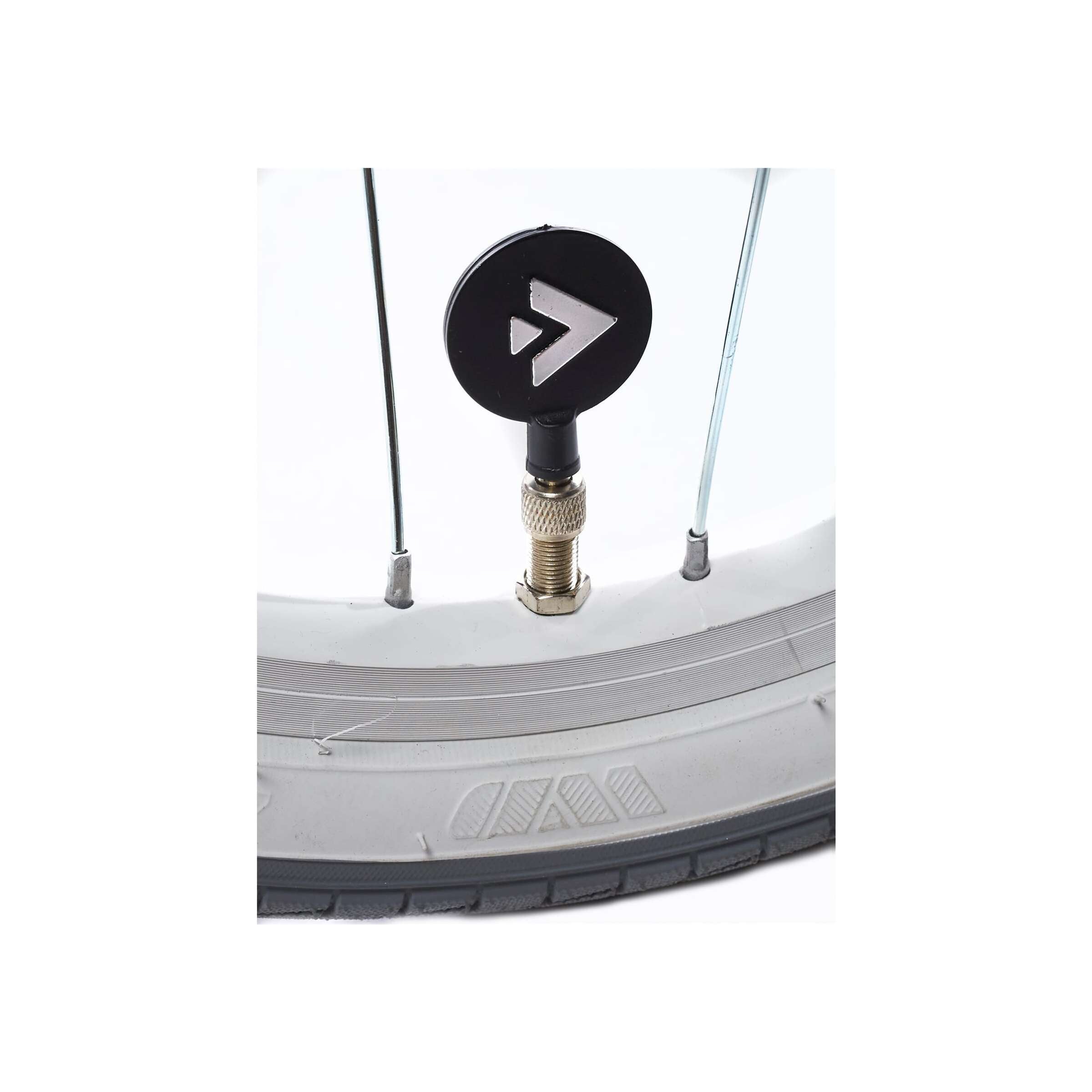 Alpina Ocean M16 Soft Groen