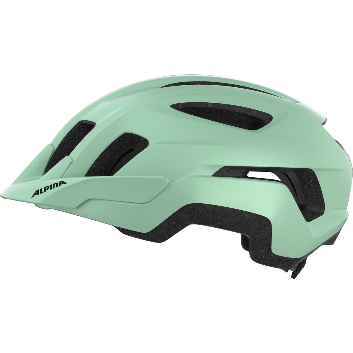 Alpina sports tour helm paranus 55-59 mat pastelgroen