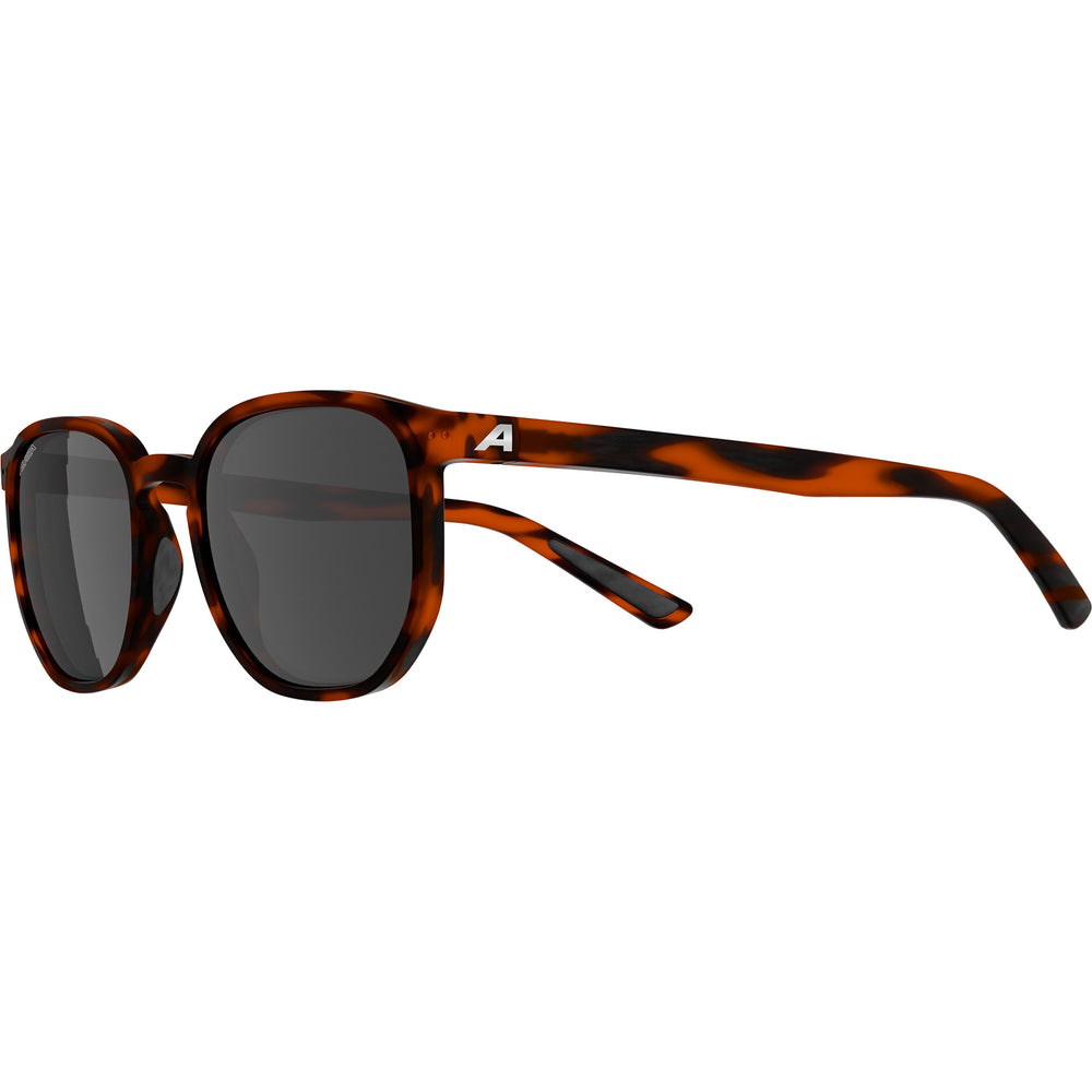 Olympic sportswear alpina sports lifestyle bril dimont zwarte lens havana