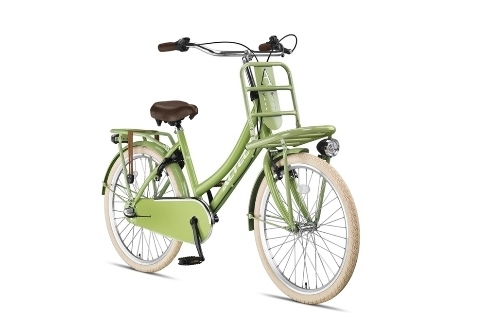 Altec Vélo de Transport Hollandais 24 pouces N-3 Vert Mousse