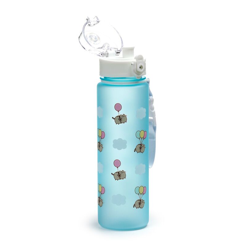 Union pusheen de kat ballonnen pop top 600ml ecozen drinkfles