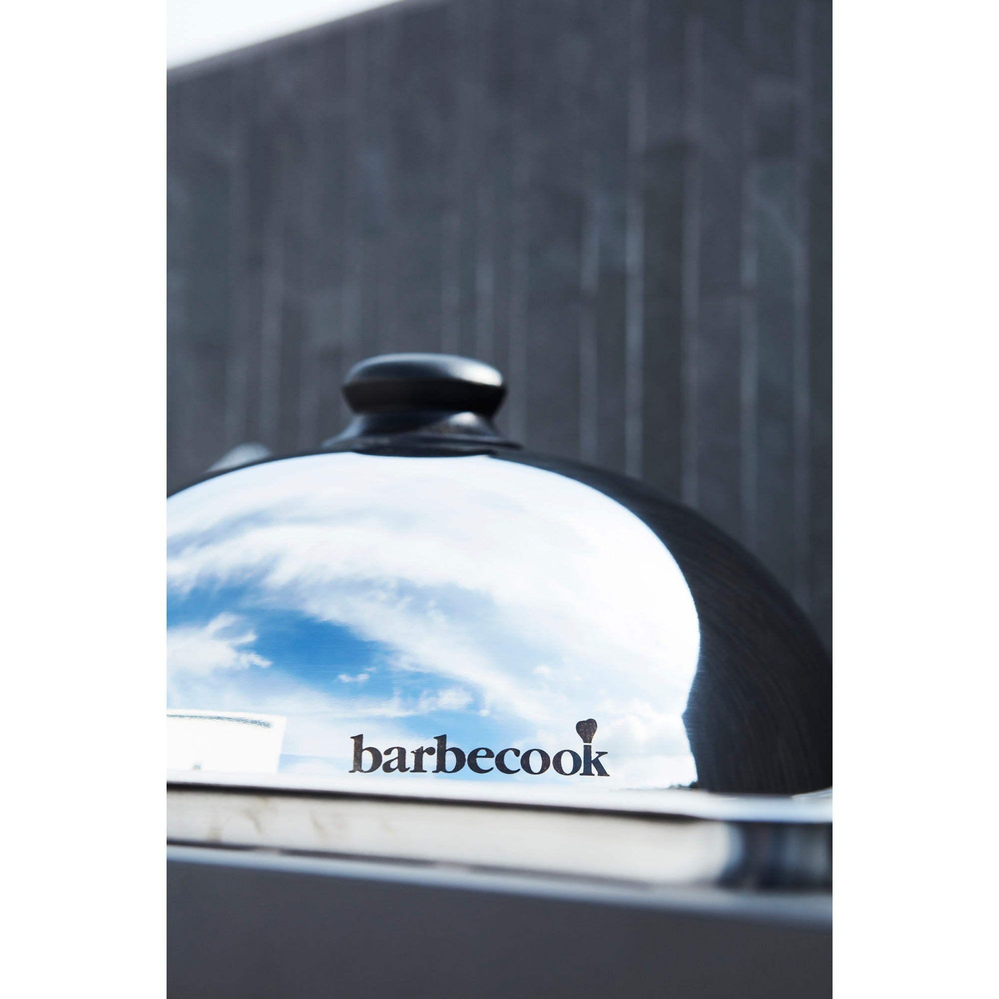 Barbecook Olivia planchakoepel uit RVS Ø 30cm