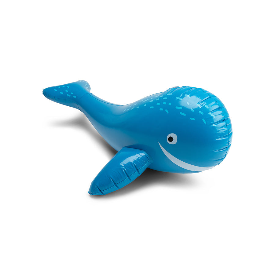 Droomlandschap | blauwe walvis watersproeier