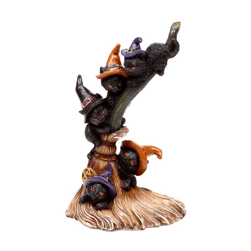Heksen zwarte kat climbing broomstick