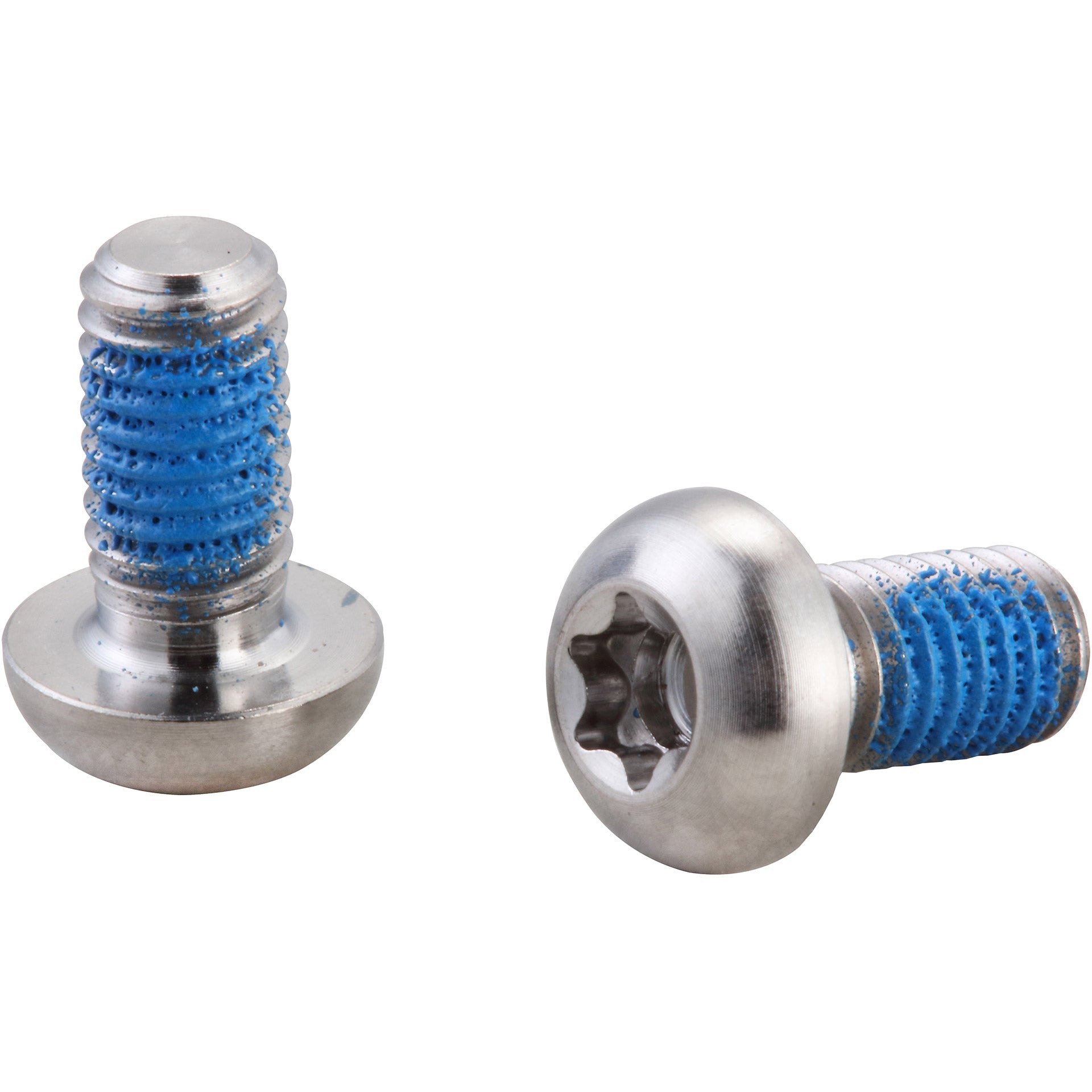 Elvedes rotor bolts Torx stainless steel (100) elv2015157