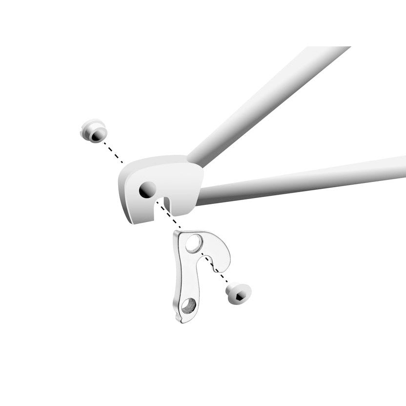 Union derailleurpad GH-123 met schroefset M8x0.75