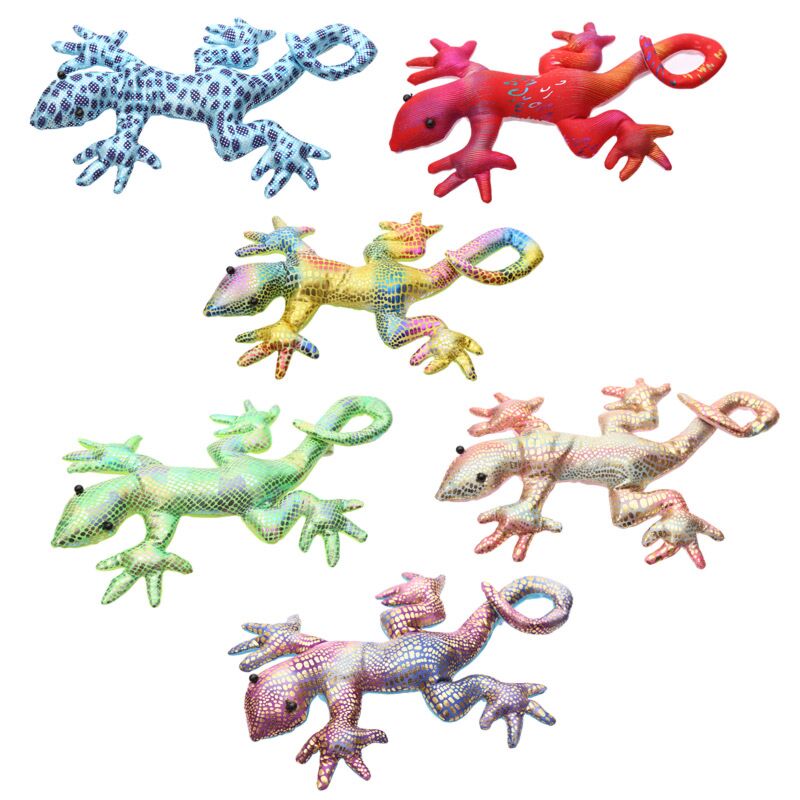 Nieuw gekko zanddier