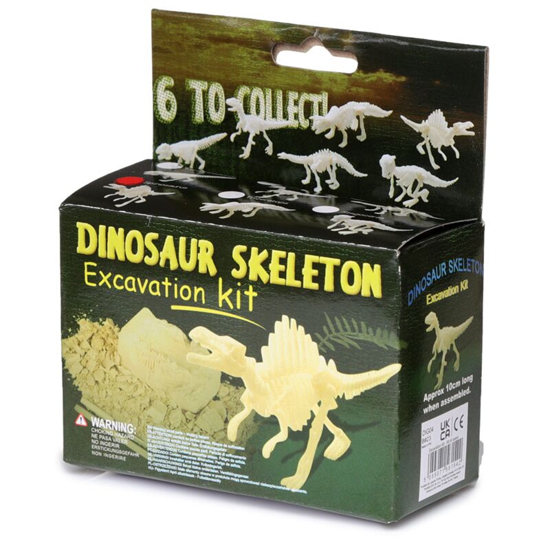 Klein dinosaurus geraamte graveerset
