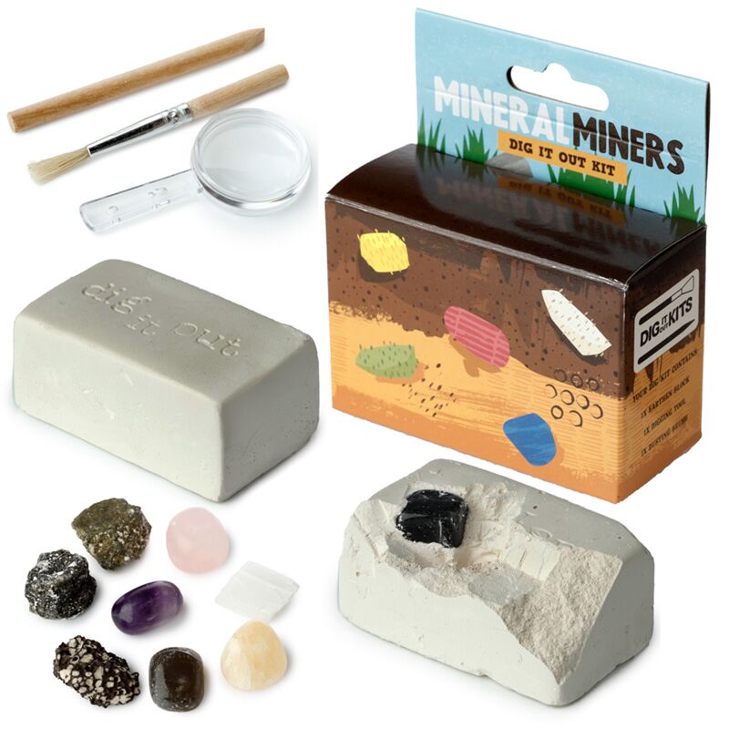 Stenen, mineralen en halfedelstenen graveerset dig-a-saurus