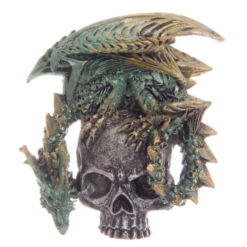 Gothic drakenschedel magneet