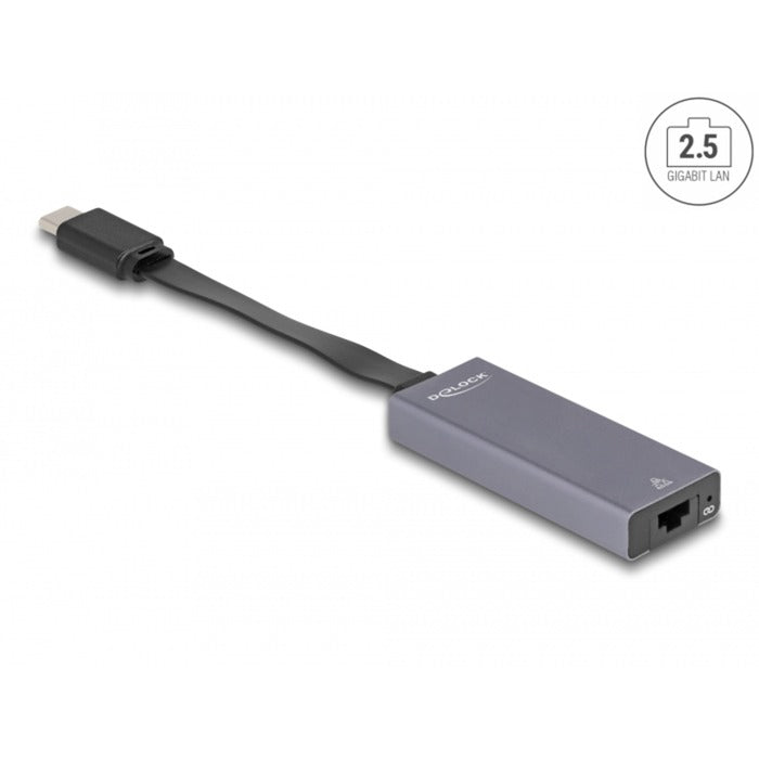 DeLOCK DeLOCK USB-C > 2,5 Gigabit LAN slank