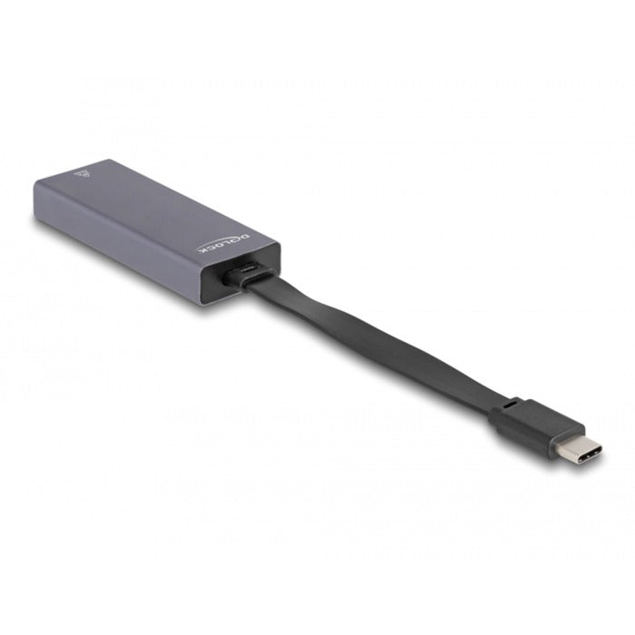 DeLOCK DeLOCK USB-C > 2,5 Gigabit LAN slank
