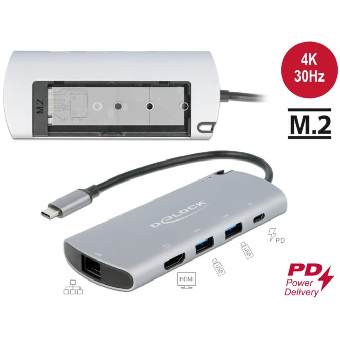 DeLOCK DeLOCK USB Type-C Docking Station met M.2 Slot