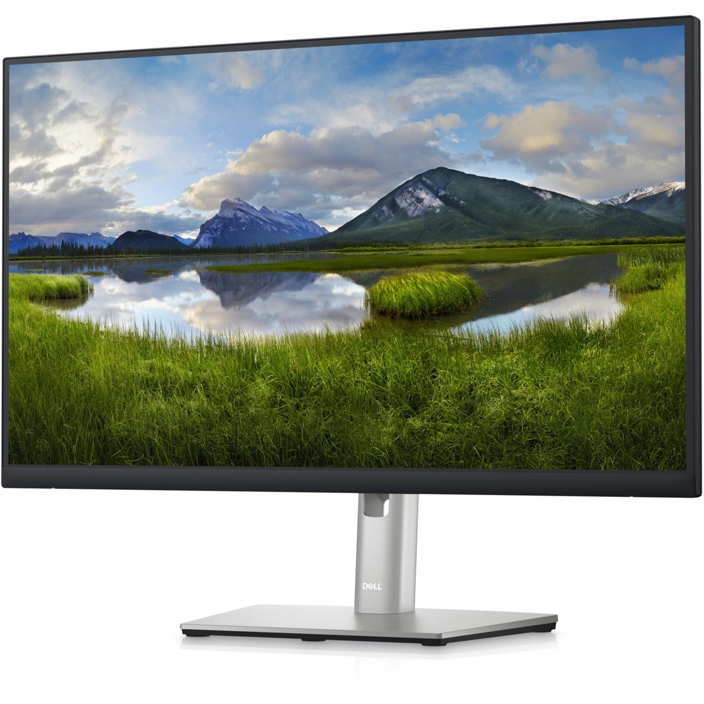 Dell P2423D