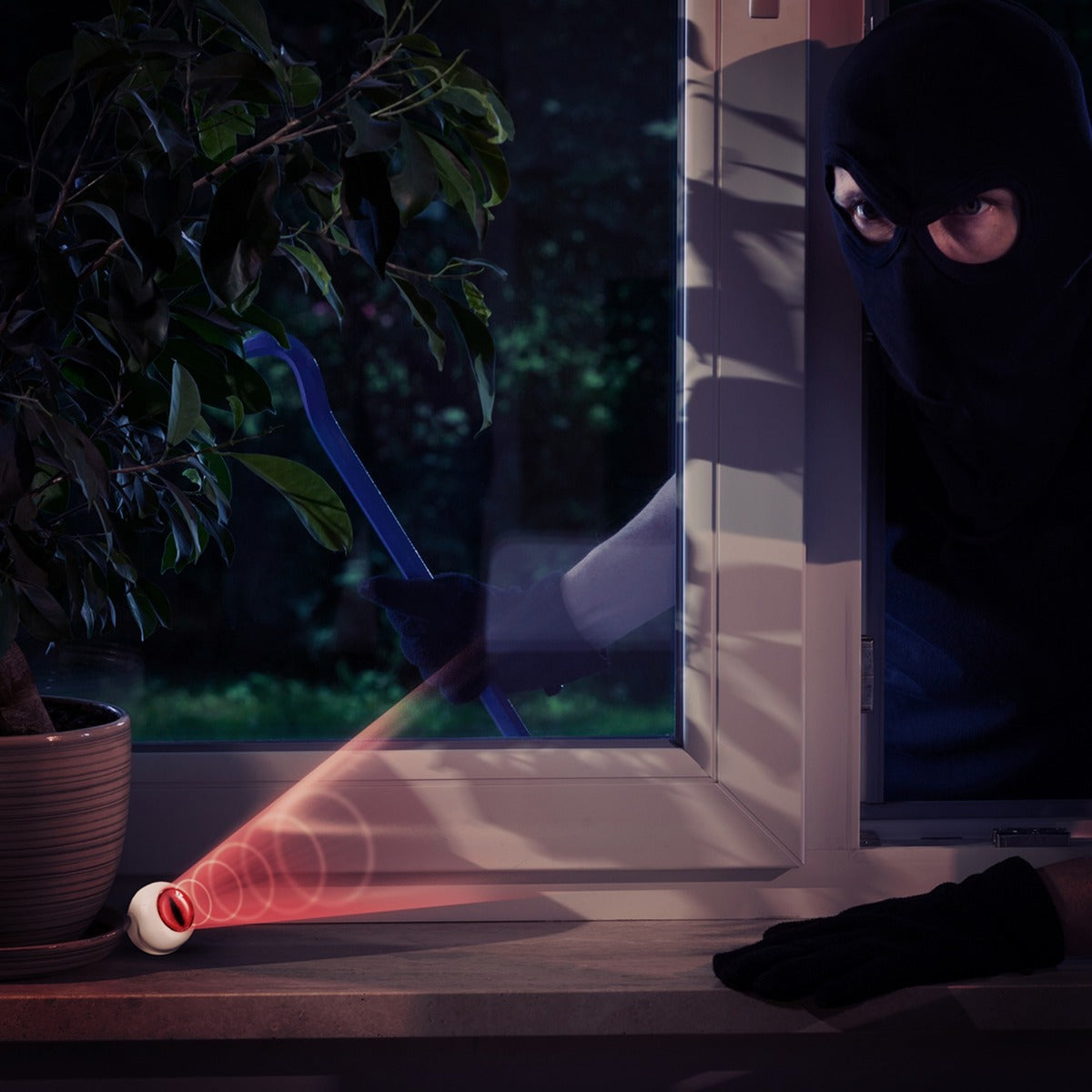 Fibaro Fibaro Sensor