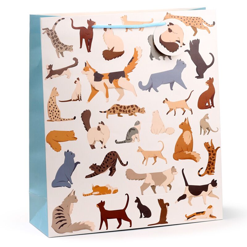 Feline fijne katten - cadeautasje xl