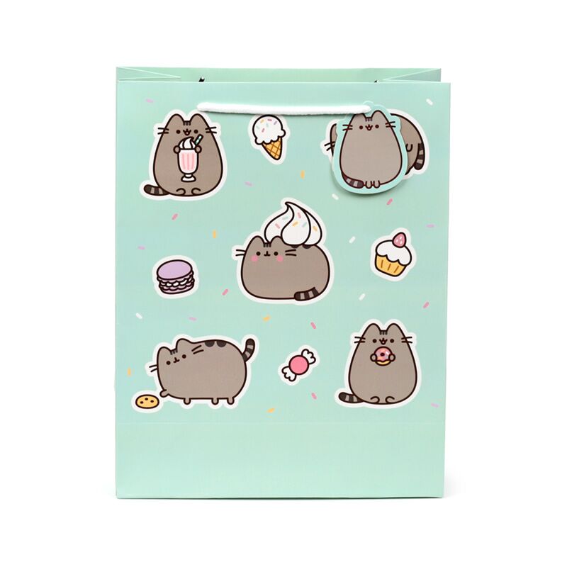 Pusheen de kat core cadeautasje groot