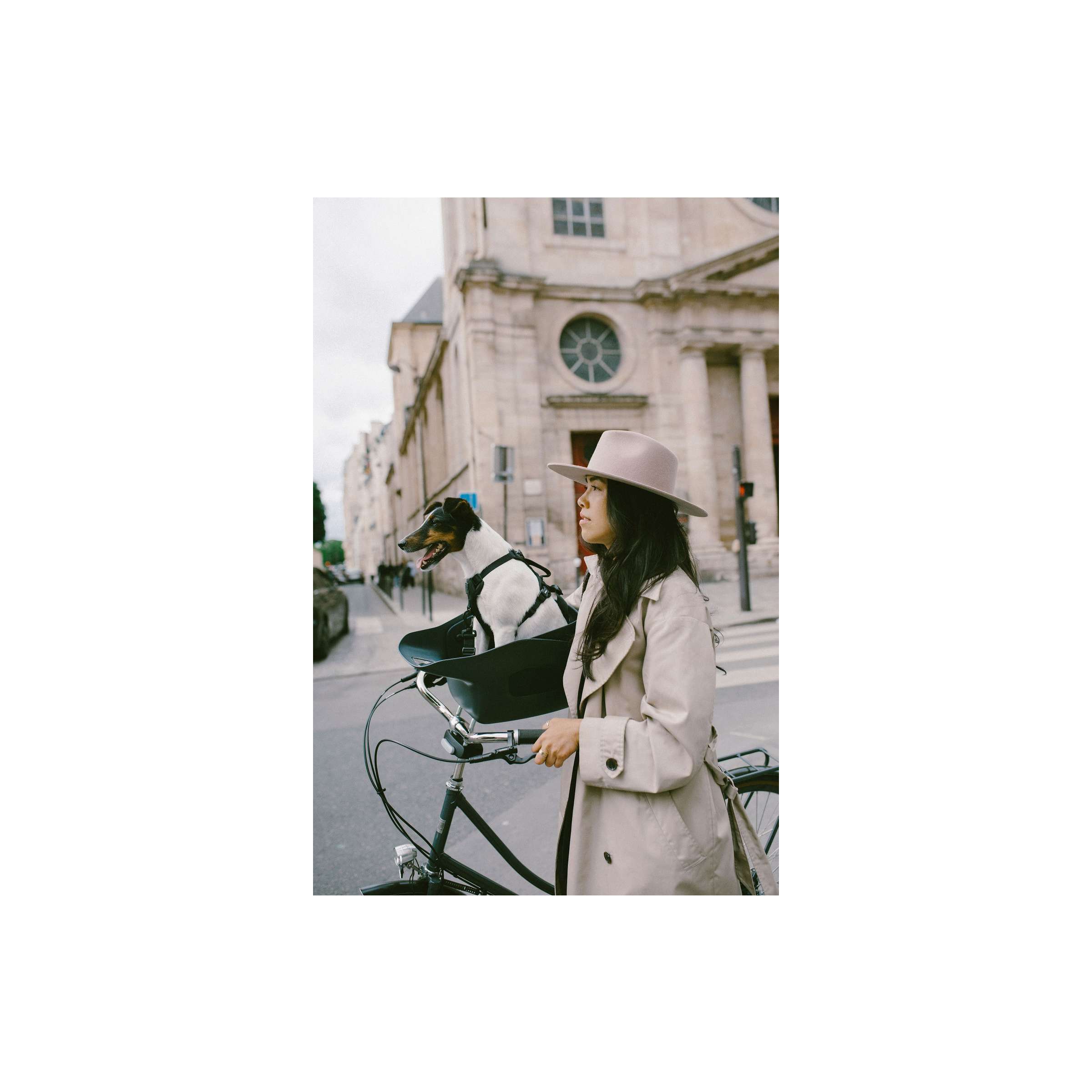 Kvisp hondenmand met harnas s bosgroen