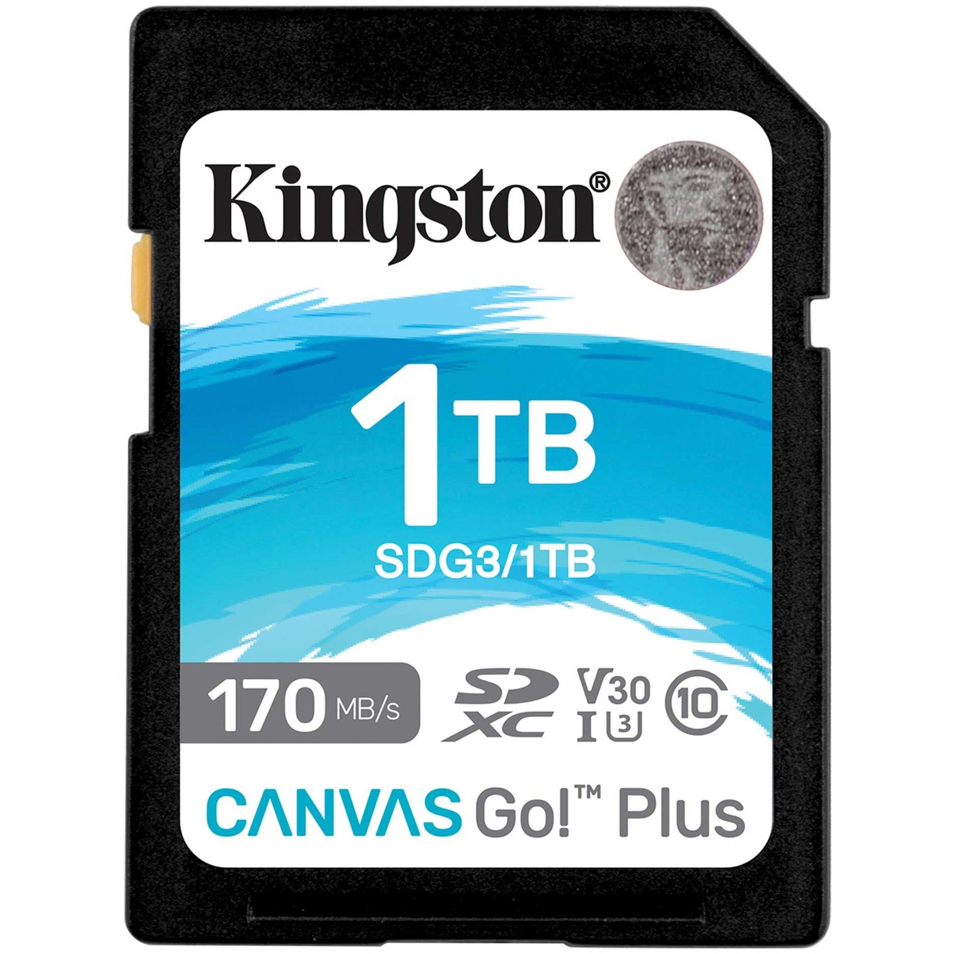 Kingston Kingston Canvas Go! Plus SDXC 1TB