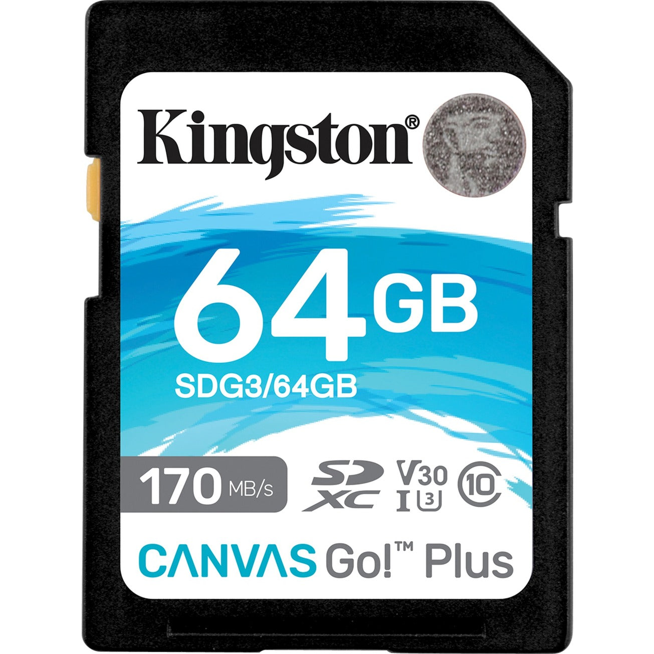 Kingston Kingston Canvas Go! Plus SDXC 64 GB