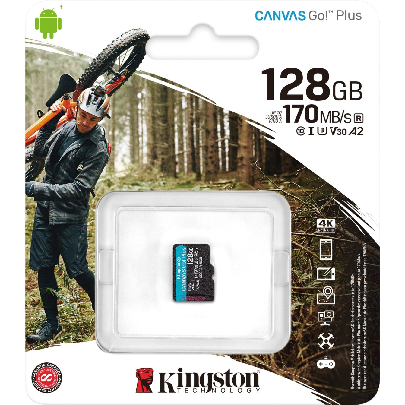 Kingston Kingston Canvas Go! Plus microSDXC 128 GB
